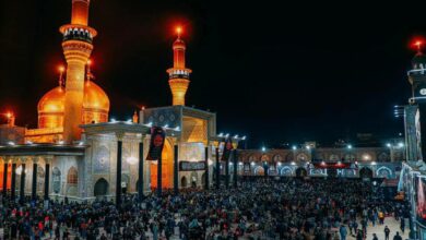 BA75009F 5AD1 48E1 8824 691A7FA577FC