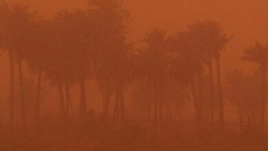 E08C5226 E3DA 4395 9623 5990F89C348F