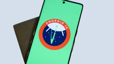 E8629320 09D8 4670 83FB A6E088C264D2