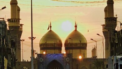 F5A667FA DD78 4DA2 9AD3 0462E7BE27AF