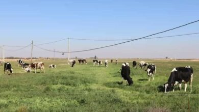 FB IMG 1676655872168