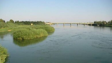 IMG 20230202 190229 943