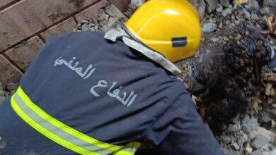 IMG 20230205 172226 258