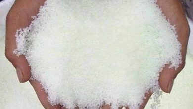 IMG 20230209 133711 542