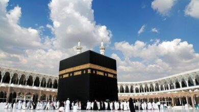 IMG 20230209 145222 989