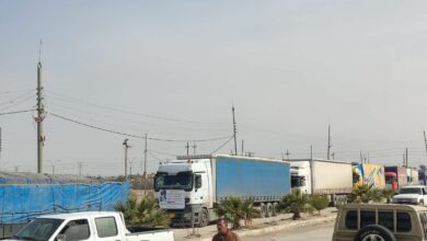 IMG 20230210 130105 649