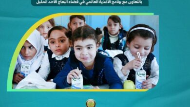 IMG 20230215 153531 525