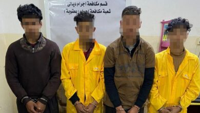 IMG 20230216 192948 079