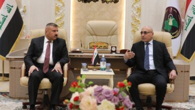 IMG ٢٠٢٣٠٢٠١ ٠٩٤٥٠٤