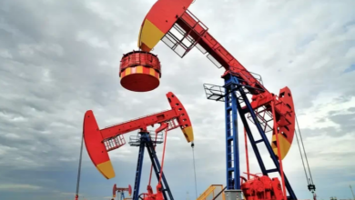 IMG ٢٠٢٣٠٢٠٣ ٠٩٥٠٣٠