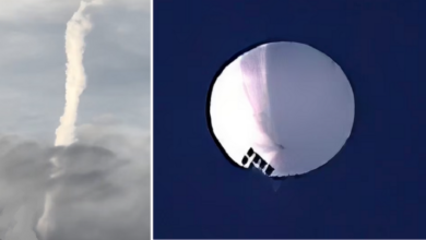 IMG ٢٠٢٣٠٢٠٤ ٠٨٣٤٥٣