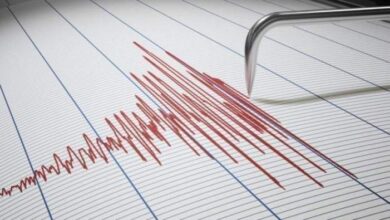 IMG ٢٠٢٣٠٢٠٦ ١٣٤٨٠٢