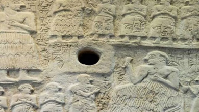 IMG ٢٠٢٣٠٢٠٧ ١١٣٣٣١