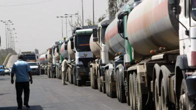 IMG ٢٠٢٣٠٢٠٧ ١٢٥٠١٠