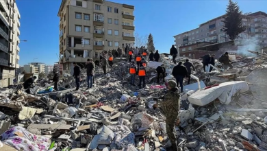 IMG ٢٠٢٣٠٢١٠ ٠٨٣٩٥٣