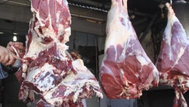 IMG ٢٠٢٣٠٢١٢ ١٤٥٩٢٤