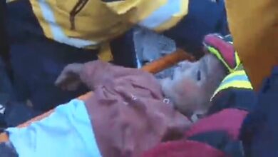 IMG ٢٠٢٣٠٢١٣ ٠٨٠٣٣٢