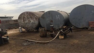 IMG ٢٠٢٣٠٢١٣ ١١٣٤٤٢