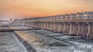 IMG ٢٠٢٣٠٢١٤ ١٦٣٢٣٨