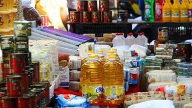 IMG ٢٠٢٣٠٢١٩ ١١٣٤١٨