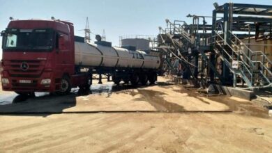 IMG ٢٠٢٣٠٢١٩ ١٦٣٤١٧