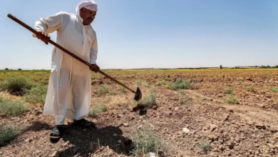 IMG ٢٠٢٣٠٢٢١ ٢١٥٣١٠