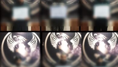 IMG ٢٠٢٣٠٢٢٢ ١٢٤٨٤٦