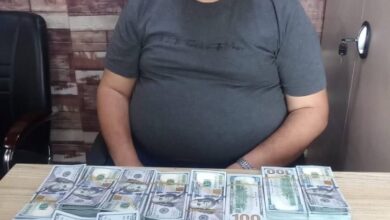 IMG ٢٠٢٣٠٢٢٨ ١١٠٣٥٣