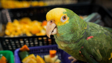 Screenshot ٢٠٢٣٠٢٠٢ ٢٣٥٢٠٠