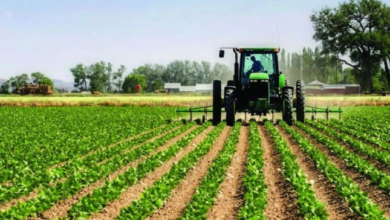 Screenshot ٢٠٢٣٠٢١٥ ٢٠١٠٣٧