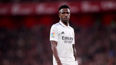 تفاصيل حديث أنشيلوتي مع فينيسيوس أمام بيلباو