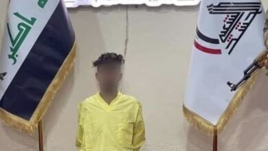 01214D15 466D 478A 88D6 663C0F387FB4