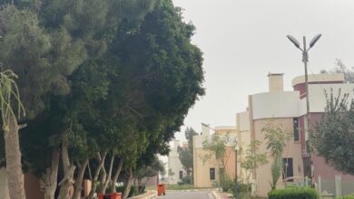 02478A1C 6C0F 46A8 AFB3 5DBDBC8B29EE