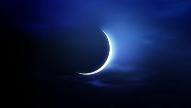 06786B76 59DF 4B22 93C6 D18C05C612F1