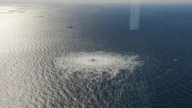 1068388320 100 0 1700 1200 1920x0 80 0 0 5143323792a36d4021036f3b69aa65bf