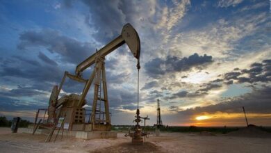 121220222137800 1663564725482