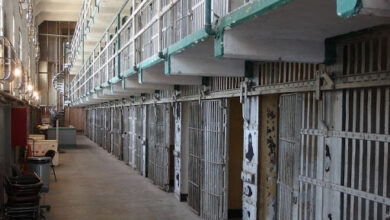 1242F6F8 342F 4341 A798 CEA81E391FEE