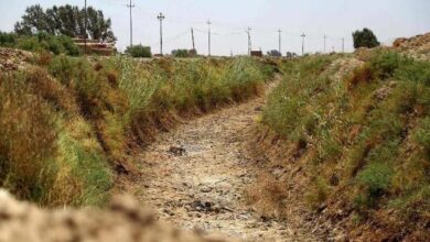 44C2A9EF 5E28 4028 ABF8 5B80FEEB37F1