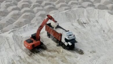 48D89BE5 A1FE 4720 B05D 3168BF235D73