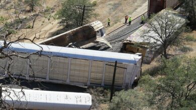 64226ee04236041daa15d01f