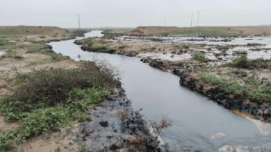 684302FD 9CAC 4C9E A24A F950B02629E0