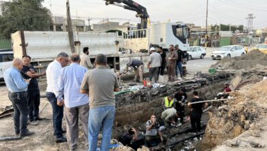 الكهرباء تعلن إعادة العمل بقابلو الفارابي – النصر بعد انفصاله عن الخدمة 2 7E821B57 FAE4 4500 A856 F80E4DC0DE2C