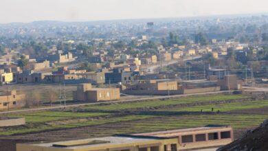 C2A5E084 193A 4A43 9BD1 9868ED48E1A9