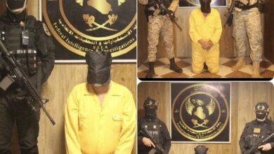 D9E4ABBE C2EC 434E A78E 77B4335BABEA