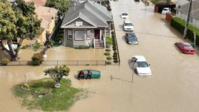 Doc P 691515 638141947936016064