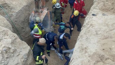 EED06A8D 473C 4D24 9B69 661258607187