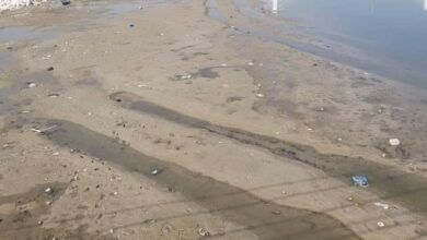 FB IMG 1678213357140