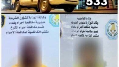 FB IMG 1679036502526