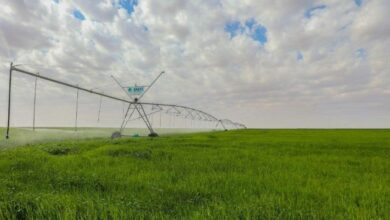 IMG 20230309 124419 749