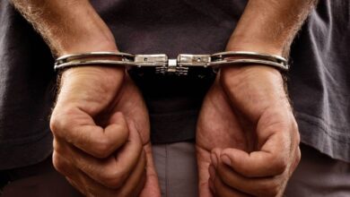 IMG ٢٠٢٣٠٣٠١ ١٣٠١١٣